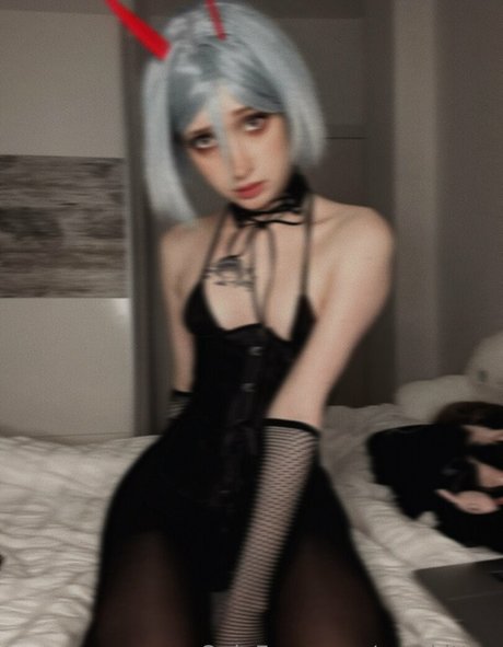 cornkitten best star photos