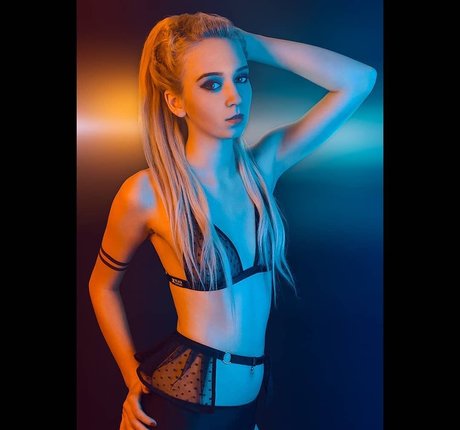 WhiteFox model top image