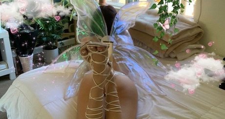 Honeybabey star perfect gallery