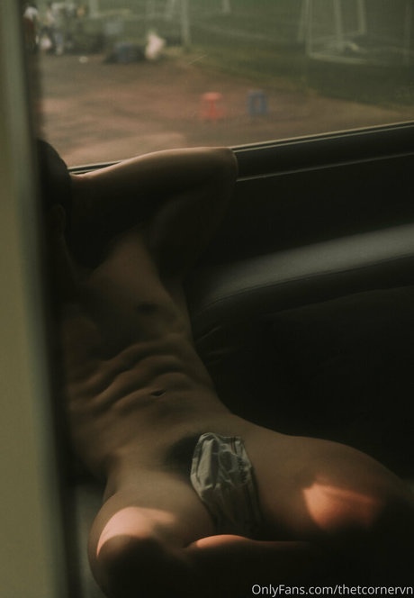 thetcornervn star porn pics