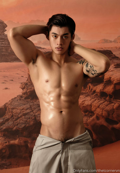 thetcornervn high quality star photos