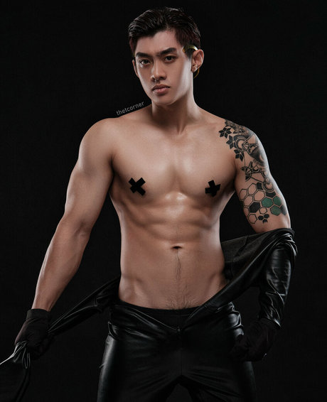 thetcornervn model erotic archive