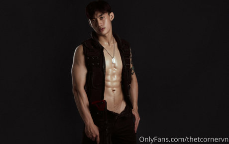 thetcornervn star perfect photos