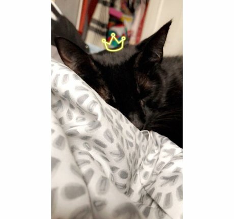 Charlotte Godoy high quality model pics