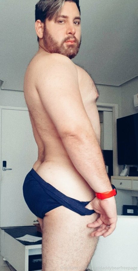 brazildaddybearfreepage thumbnail