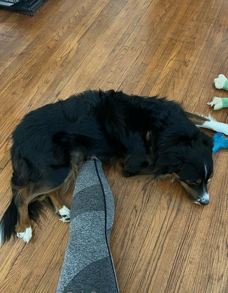 solegoddessap porn model pics