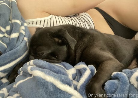 Sarah Fong nude star images