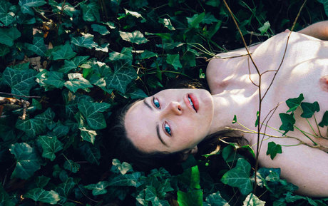 Pinheiro Alexandra star best img