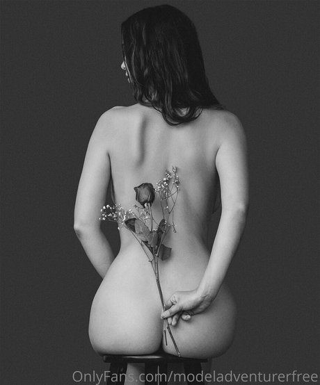 modeladventurerfree art star images