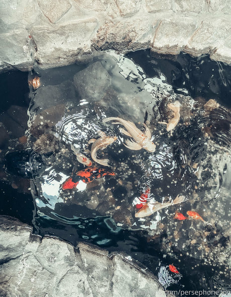 persephone27x model pretty img