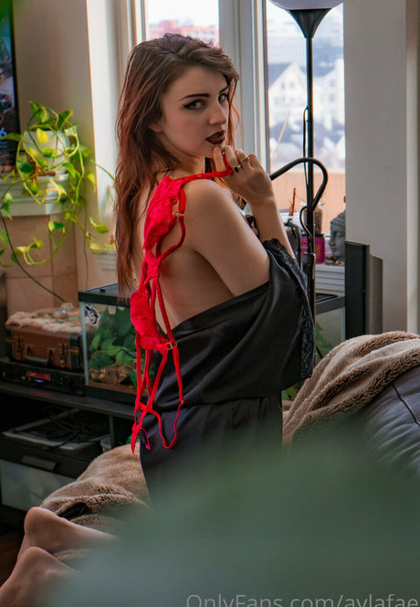 aylafae hd pornstar archive