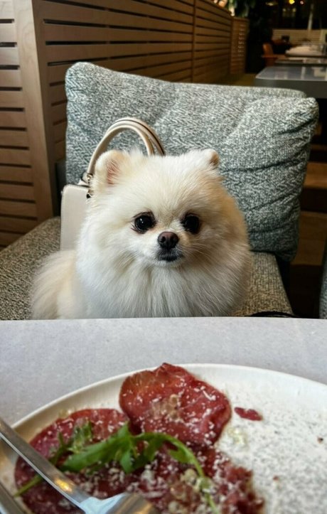 callysto nymph nudes pornstar images