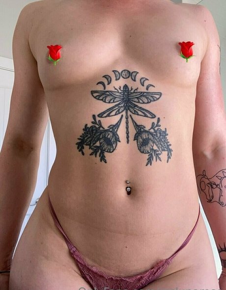 Mslunarose star beautiful gallery