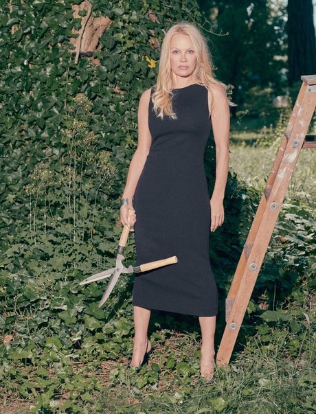 Pamela Anderson pornstar xxx archive