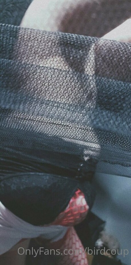 Birdcoup naked pornstar gallery