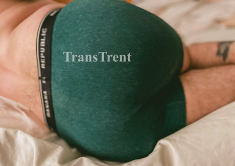 transtrentfree star beautiful images