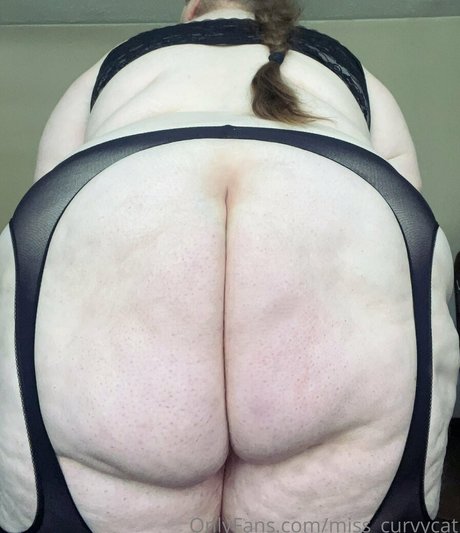 miss curvycat thumbnail