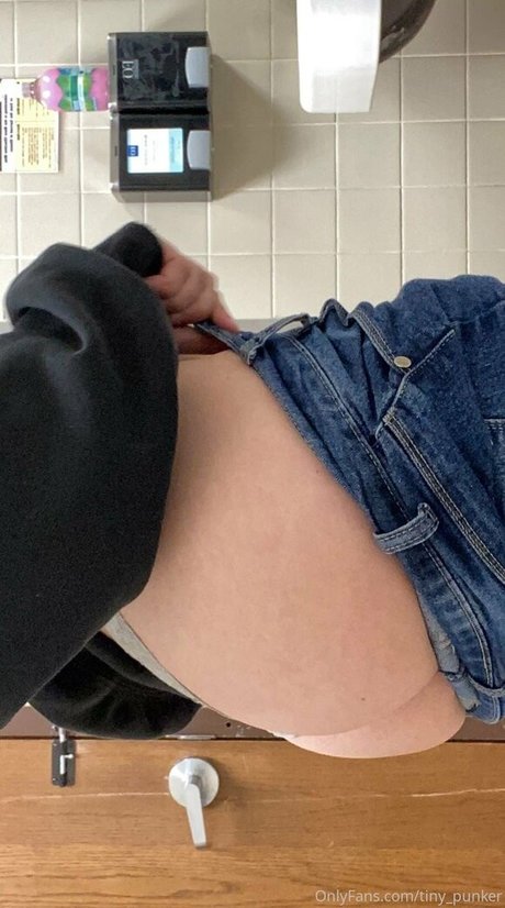 tiny punker xxx model archive