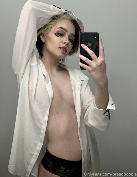 Breadboodle hot model img