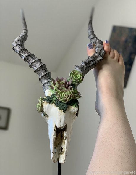 ginger ed model nudes images