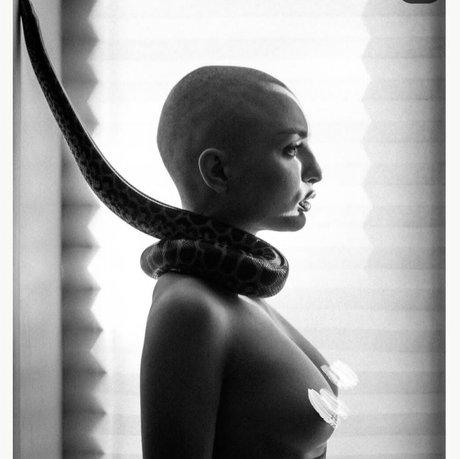 Pelageialynx best model img