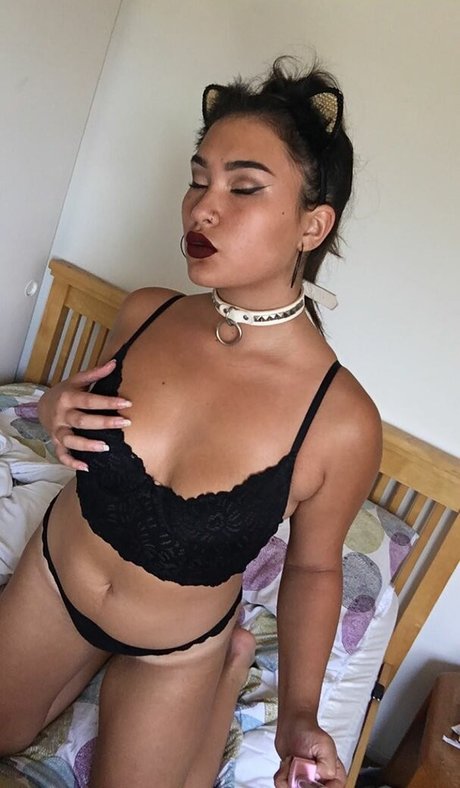 Sofia Addotta star top gallery