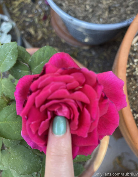 aubriluv sex model archive