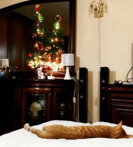 Leka Galkinstein hot star pic