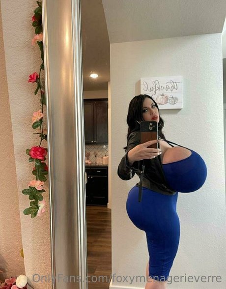 Foxy Menagerie Verre best star images