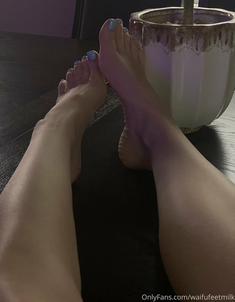 WaifuFeetMilk pornstar art photo