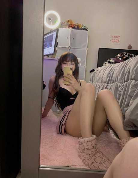 Amate Saurius top star picture