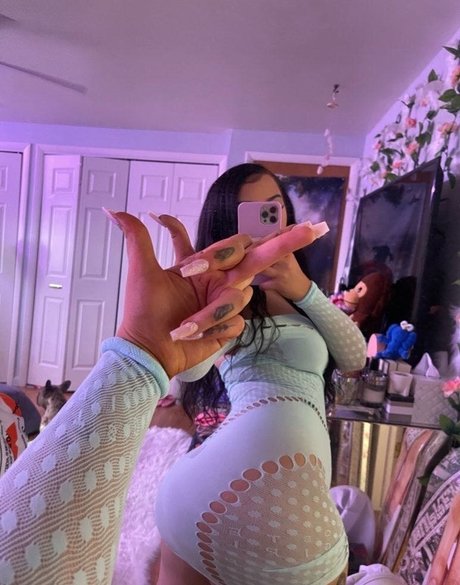 Goyard Wallet model hd image