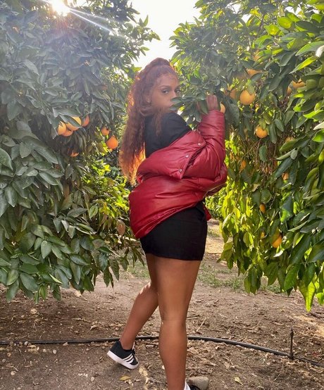 Bianca Brown star xxx image