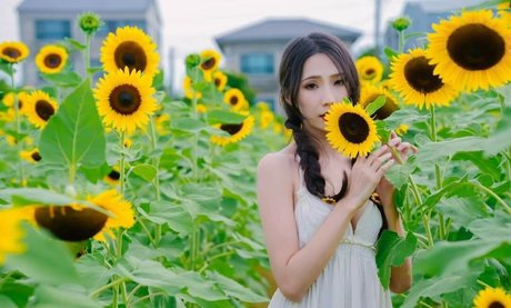 Anita Feifei 11111 star porn image