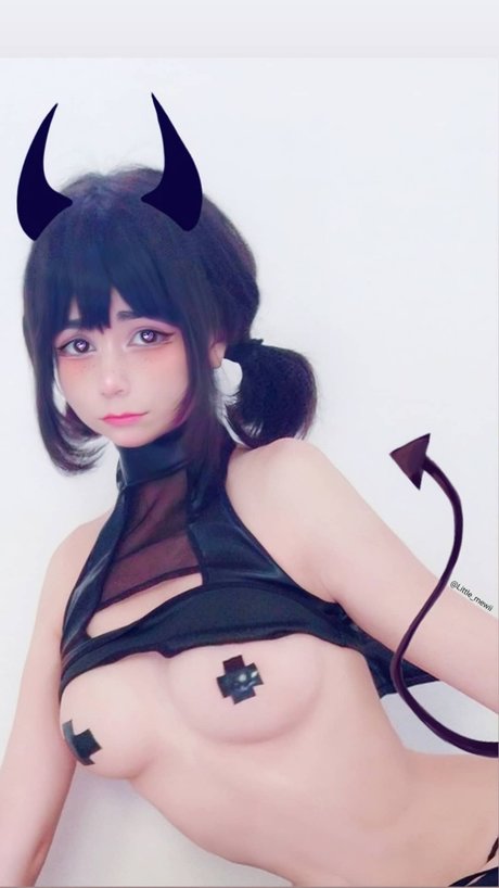 Little mewi pretty model archive