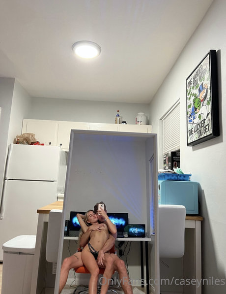 Casey Niles pornstar art img