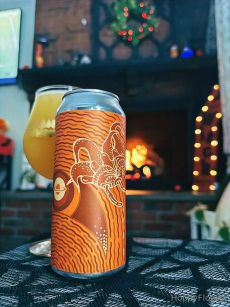 Hoppy Floppy best star pictures