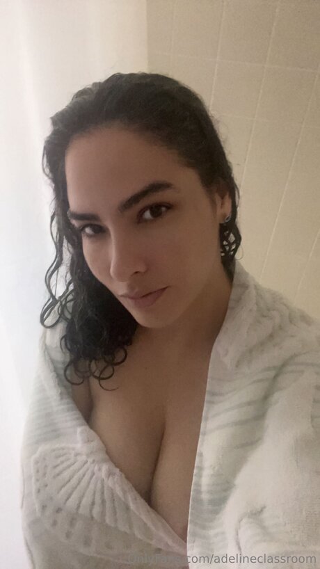 adelineclassroom model pic