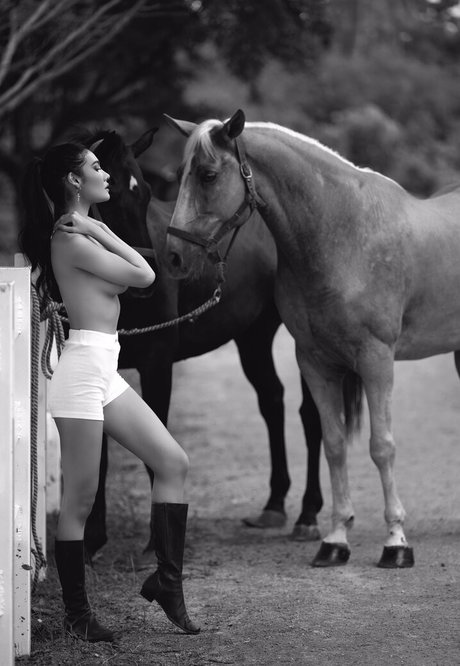 Ploytiger exclusive model image