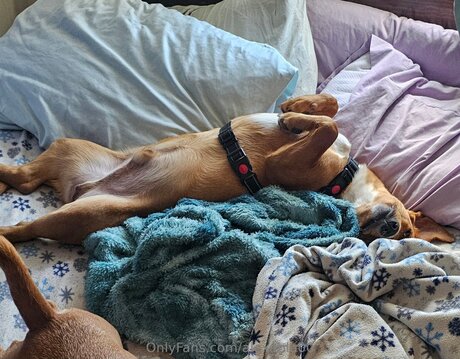 Alexablu00 pornstar hd gallery