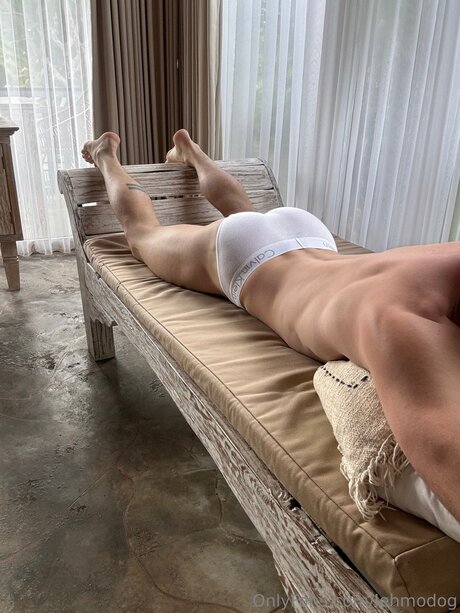 Lehmodog hd model pic