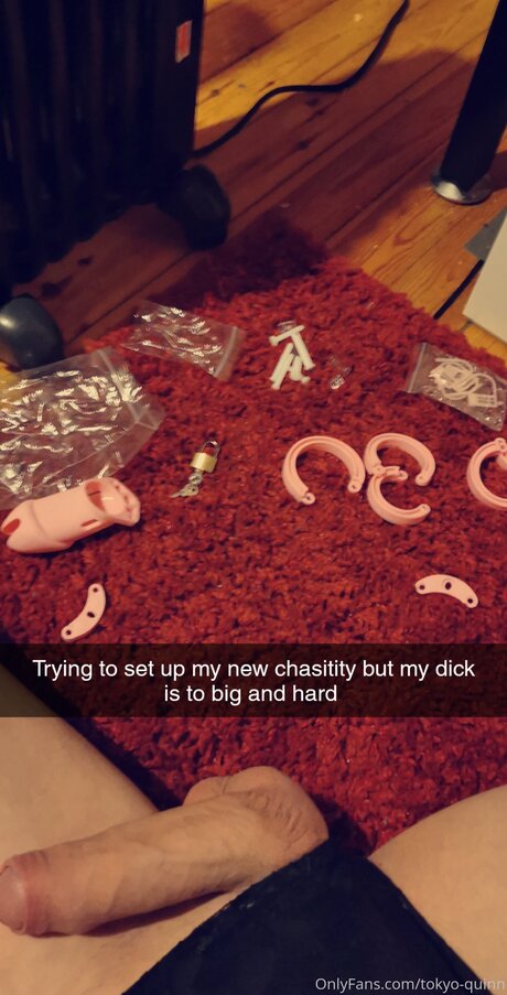 Tokyo Quinn star images