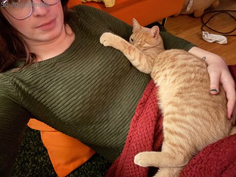 Squiggledingle adult model pics