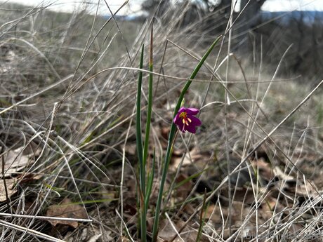 Billabongbandaid sex pornstar pic