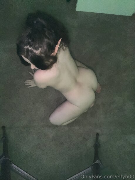 Elfyb00 free star gallery