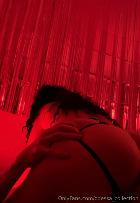 Odessa Collection top star archive