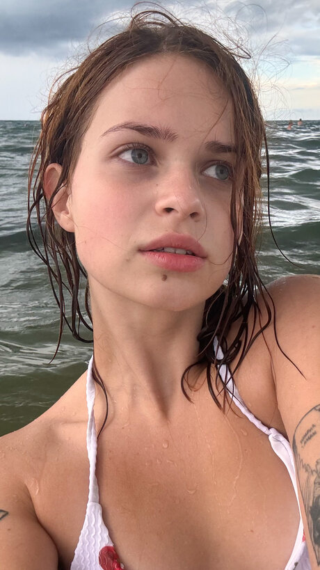 Pineappleri nice star picture