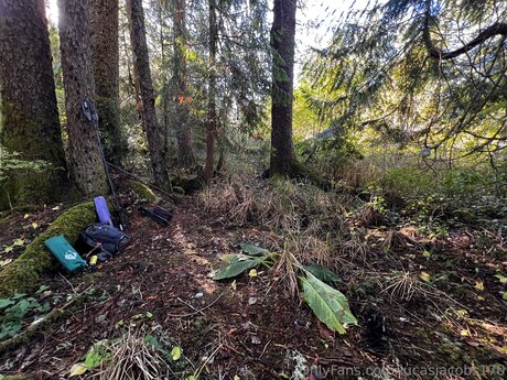 Lucasjacobs170 high quality actress img