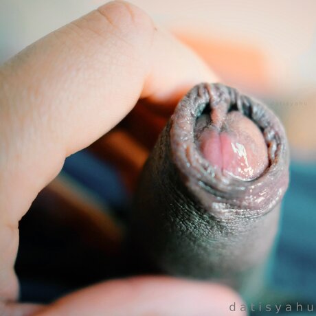 Datisyahu star adult gallery