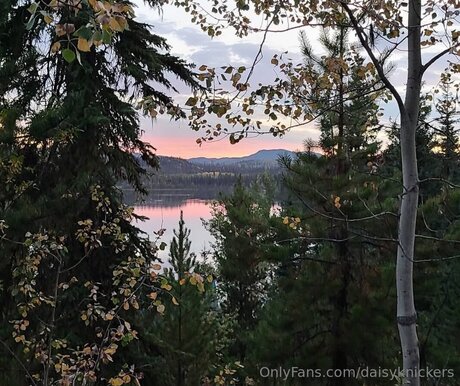 Daisyknickers pornstar nice pic